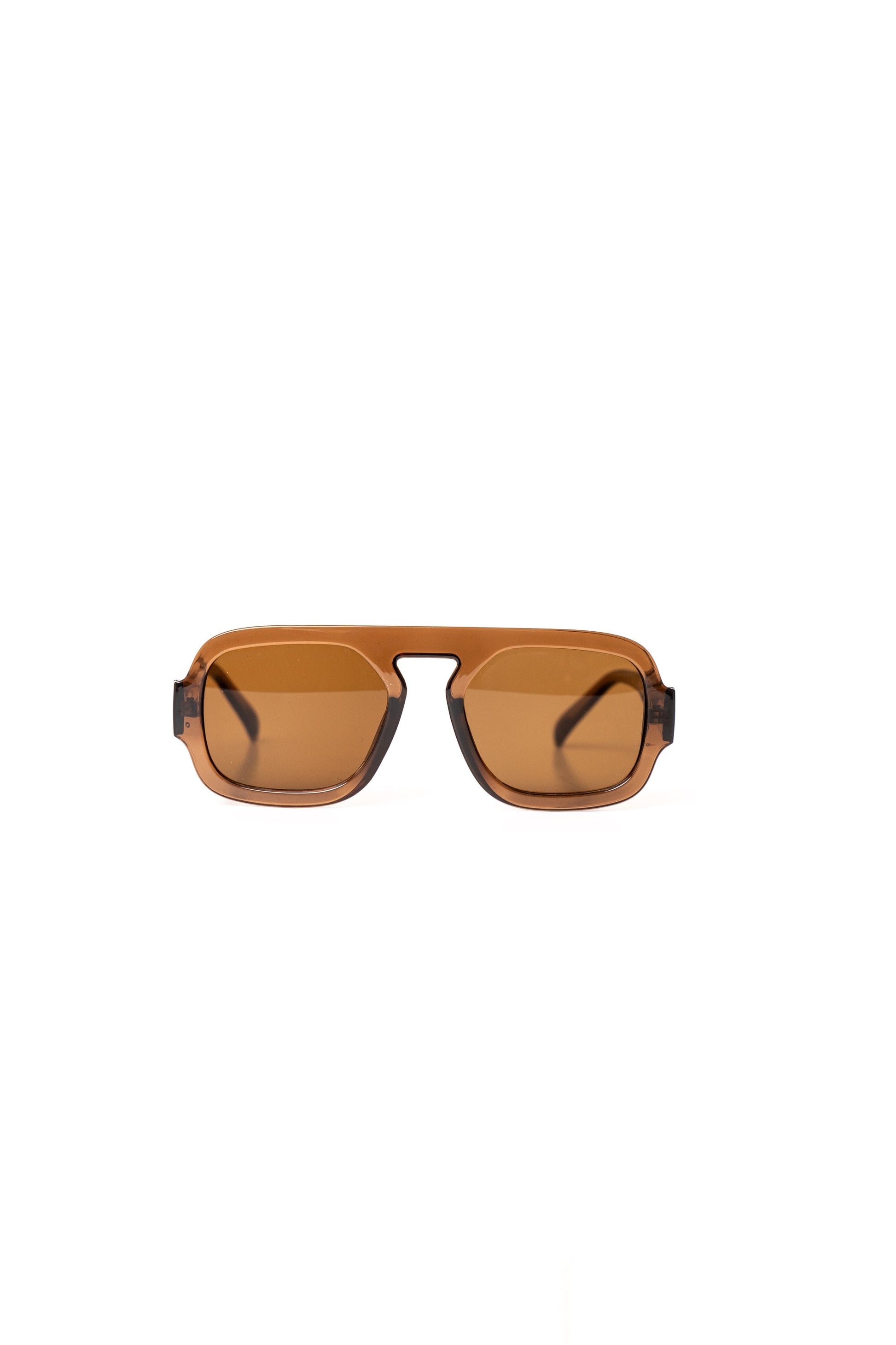 Confidence Seeker- all around brown  image 0
