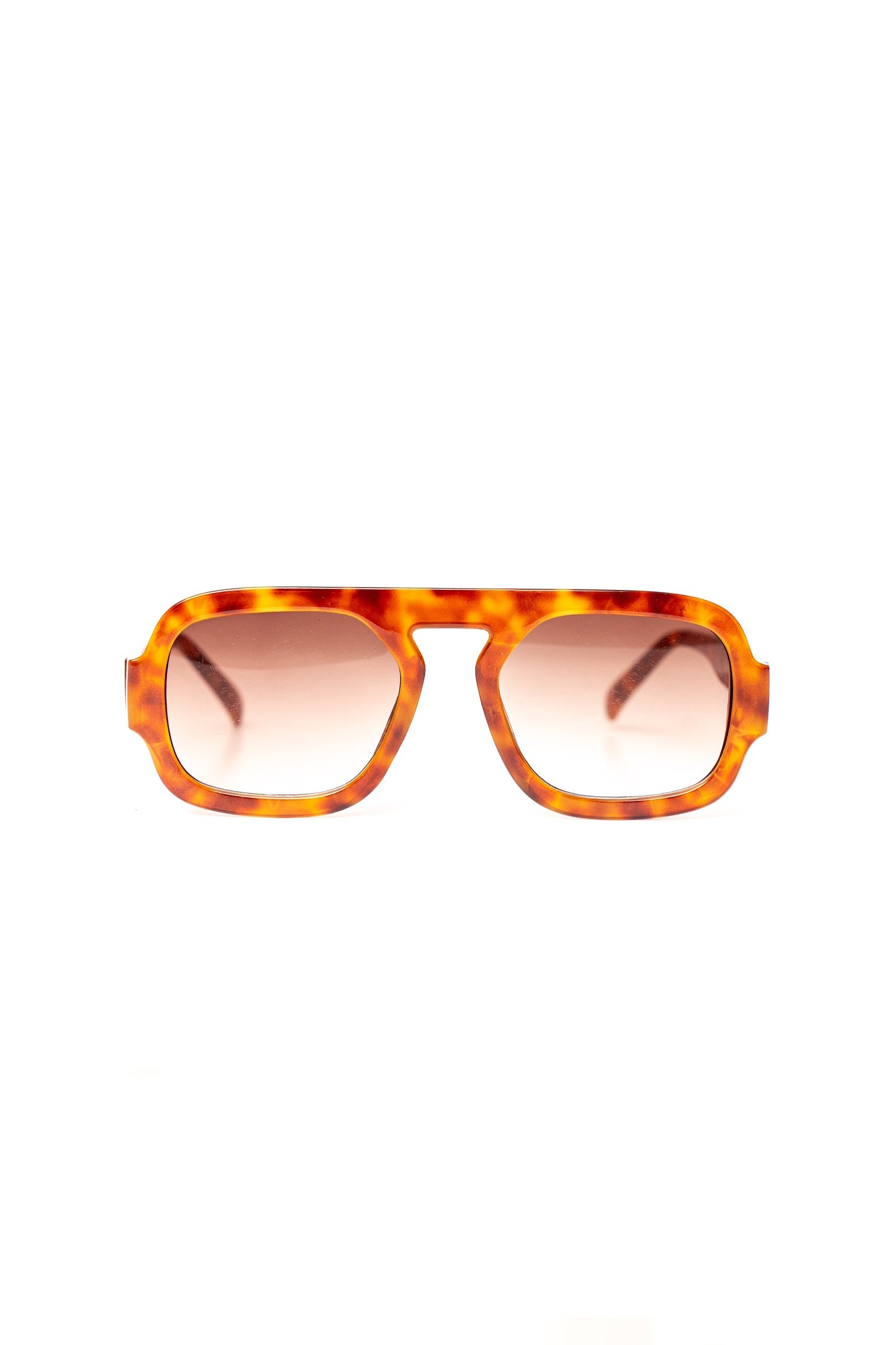 Confidence Seeker- burnt orange tortoise  image 0